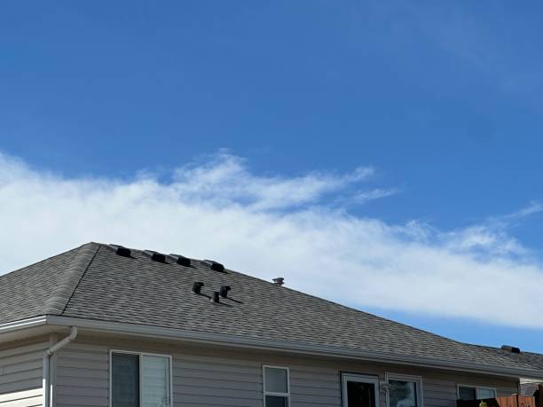 Best Asphalt Shingle Roofing  in Jacobus, PA