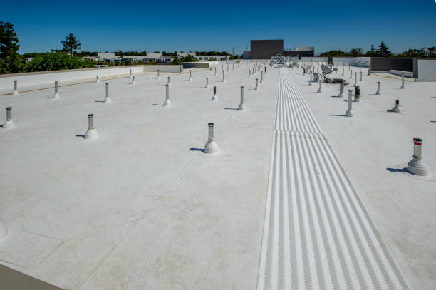 Best Roof Maintenance and Cleaning  in Jacobus, PA